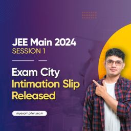 JEE Main 2024 Session 1 Exam City Intimation Slip
