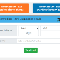UP Board Class 10, 12 Result 2025 Announced, Check Here Now